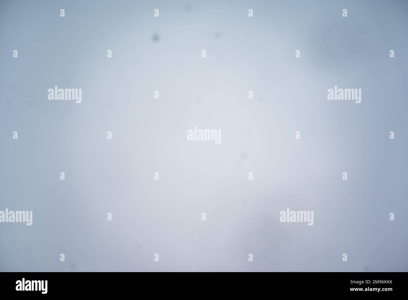 Paysage d'hiver avec chute de neige. Paysage d'hiver. Chute de neige vue du dessous. Banque D'Images