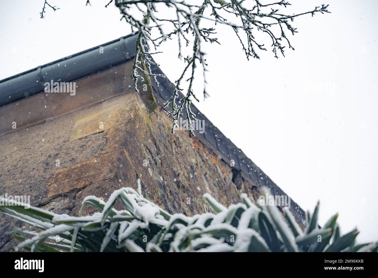 Paysage d'hiver avec chute de neige. Paysage d'hiver. Chute de neige vue du dessous. Banque D'Images