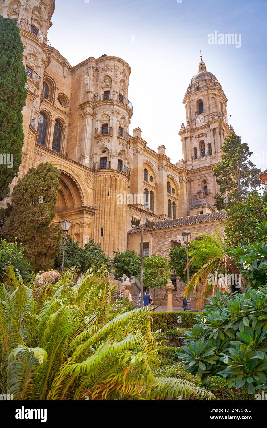 Cathédrale de Malaga, Plaza del Obispo, province de Malaga, Andalousie, Espagne Banque D'Images