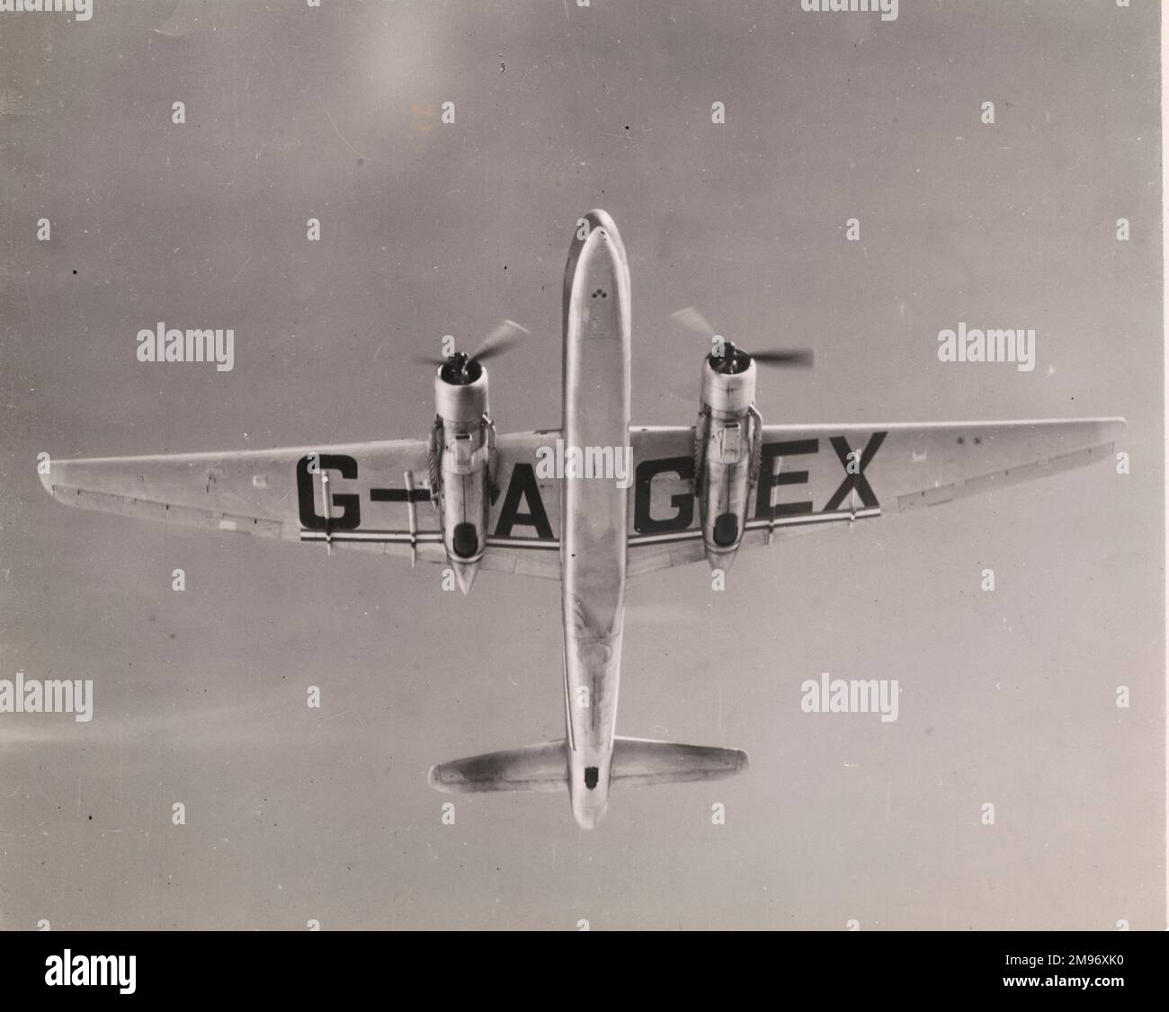 Le premier de 14 Vickers Warwick C1s pour BOAC, G-AGEX. Alimenté par deux biers Pratt & Whitney Double Wasp (vue de dessous en vol). Banque D'Images
