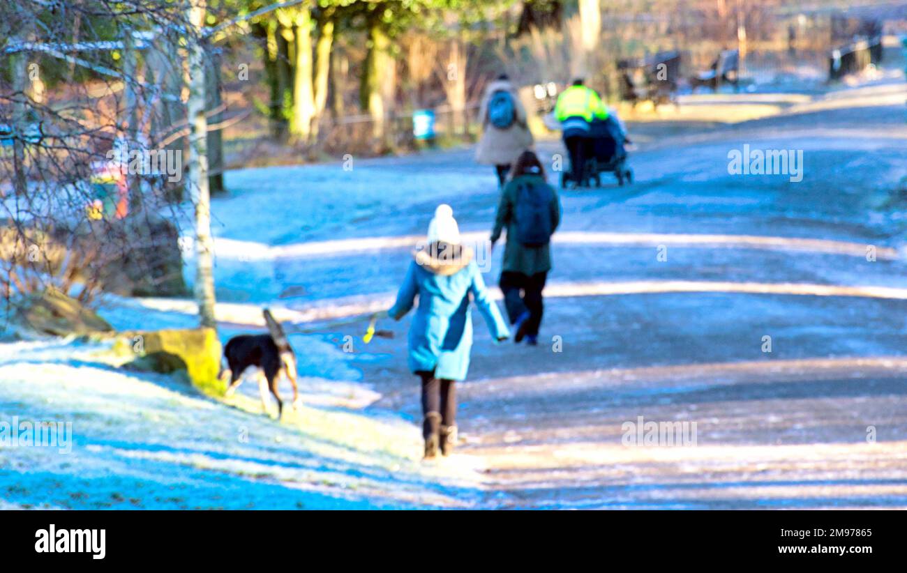 Glasgow, Écosse, Royaume-Uni 17th janvier 2023. Météo au Royaume-Uni: Ciel clair froid a vu un démarrage très froid avec la promesse de pire à venir comme les gens se sont réveillés à un pays merveilleux d'hiver et un parc de Kelvingrove très froid randonneurs de chiens. Crédit Gerard Ferry/Alay Live News Banque D'Images