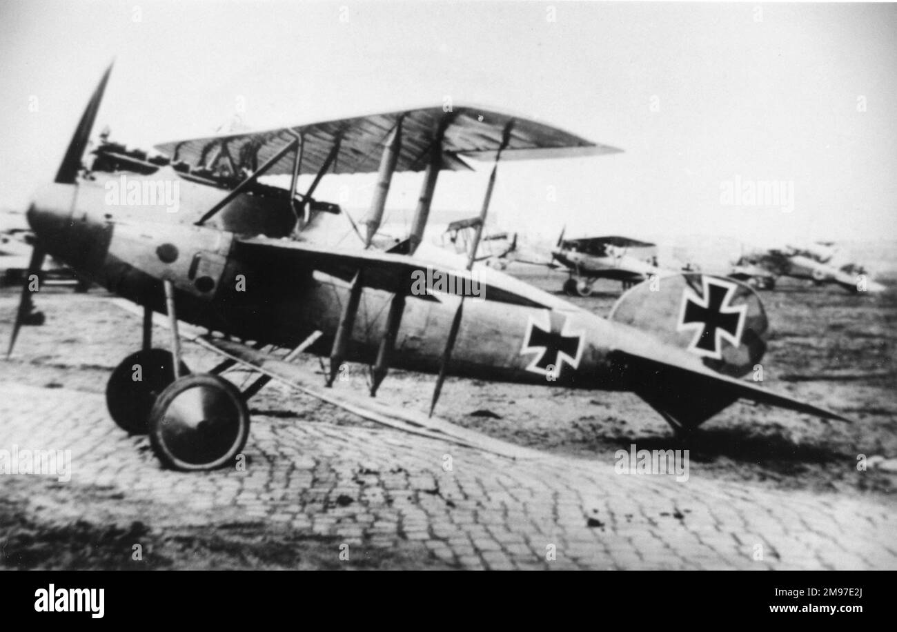 Albatros Dr I triplan de chasse allemand à siège unique. Banque D'Images