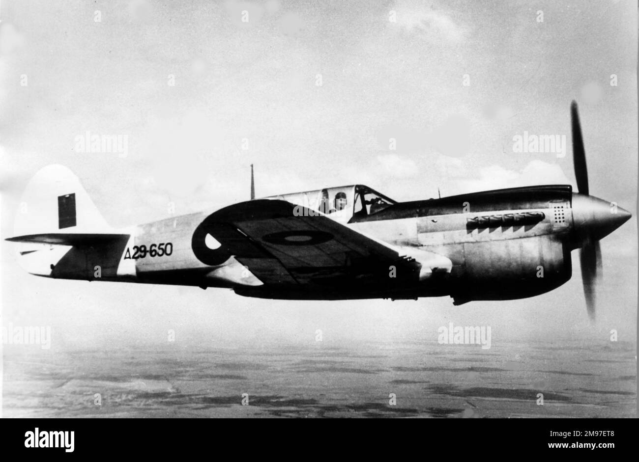 Curtiss P-40N Kittyhawk IV - ces derniers ont progressivement remplacé le Boomerang provisoire par des escadrons de chasseurs australiens servant dans le Pacifique. Banque D'Images
