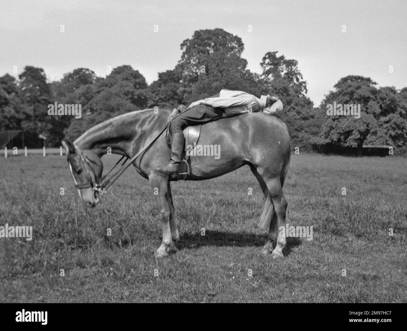 Femme sur un cheval dans un champ, allongé avec ses pieds hors des étriers. Banque D'Images