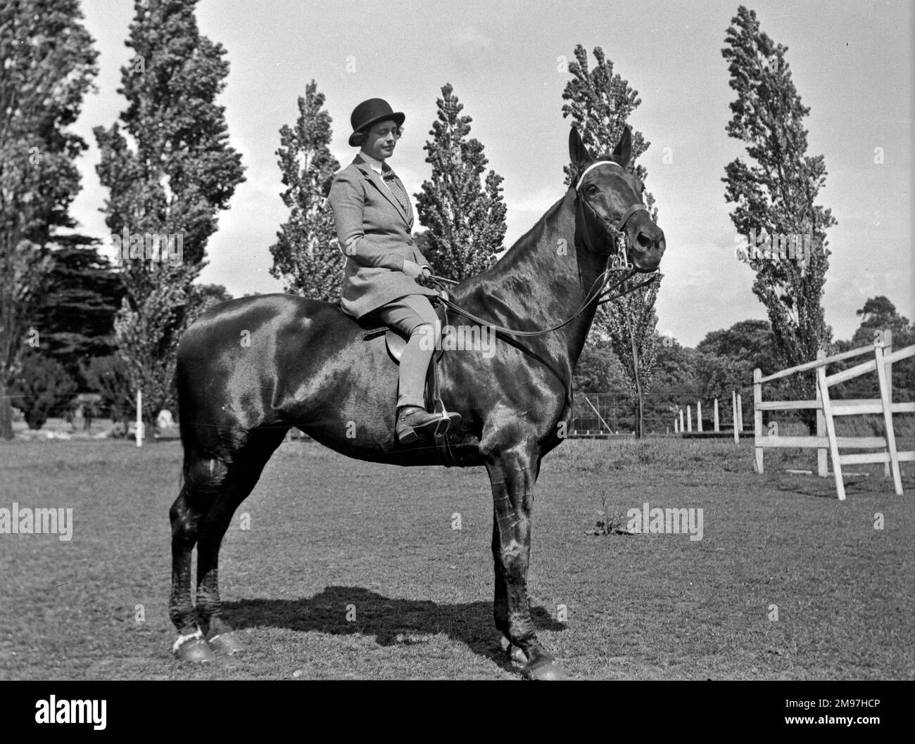 Femme sur un cheval dans un champ. Banque D'Images