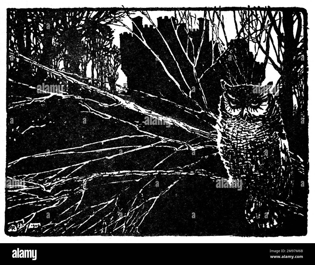 Illustration, Jorinda et Joringel -- un hibou sur la branche d'un arbre (en fait une sorcière déguisée). Banque D'Images