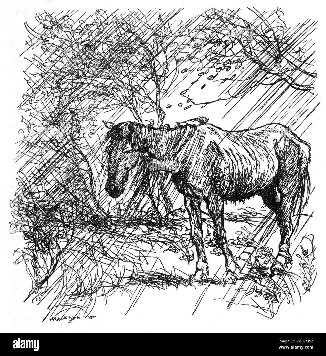 Illustration, le renard et le cheval - le pauvre Cheval était très triste, et est allé à l'abri du vent et du temps. Banque D'Images