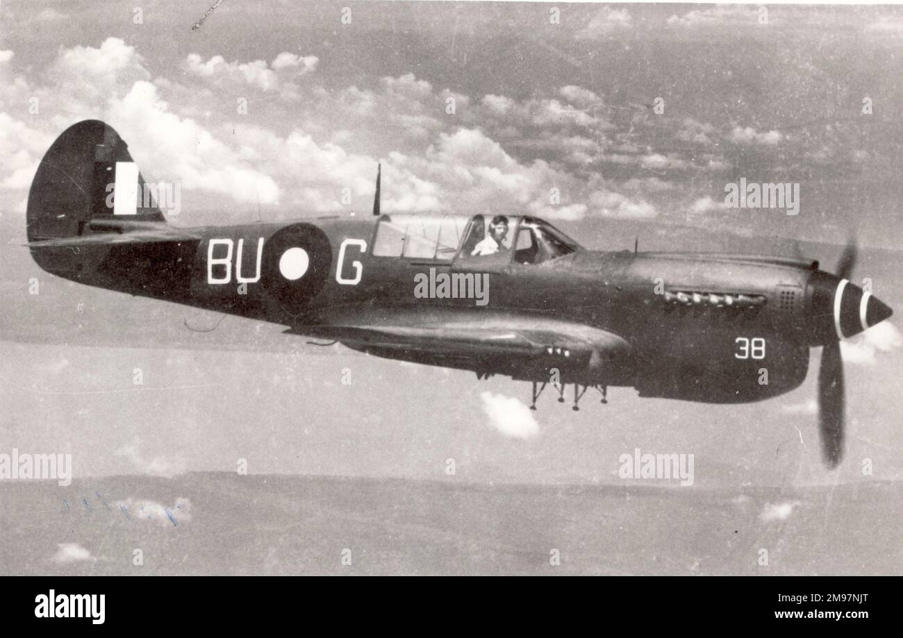 Curtiss Kittyhawk de l'Armée de l'Air australienne. Banque D'Images