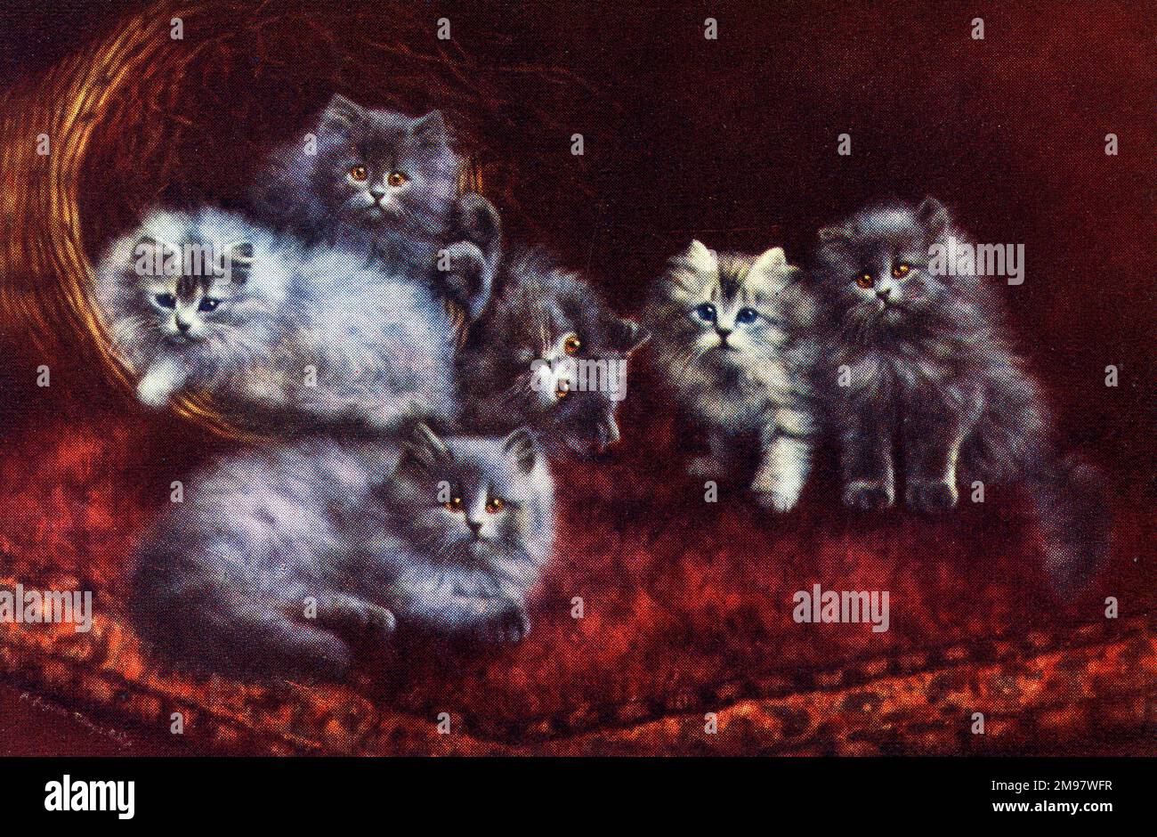 Chats et chatons - Un ensemble de Mischief. Banque D'Images