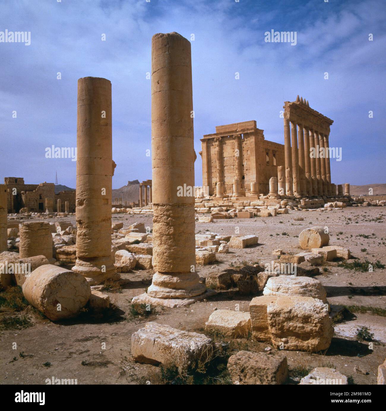 Palmyra, Syrie - colonnes et vue vers le Temple de Bel (Baal). Les ruines du temple ont été détruites par l'État islamique d'Irak et le Levant (ISIS) en août 2015. Banque D'Images