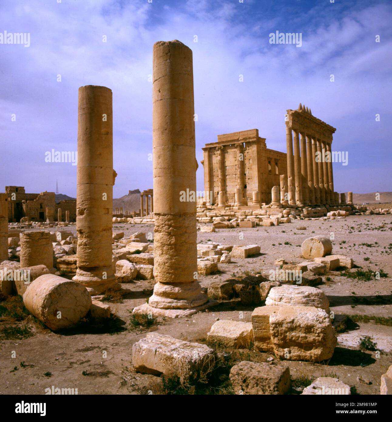 Palmyra, Syrie - colonnes et vue vers le Temple de Bel (Baal). Les ruines du temple ont été détruites par l'État islamique d'Irak et le Levant (ISIS) en août 2015. Banque D'Images