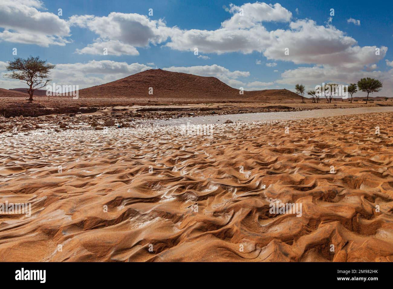 Paysage désertique après la pluie, Arabie Saoudite Banque D'Images