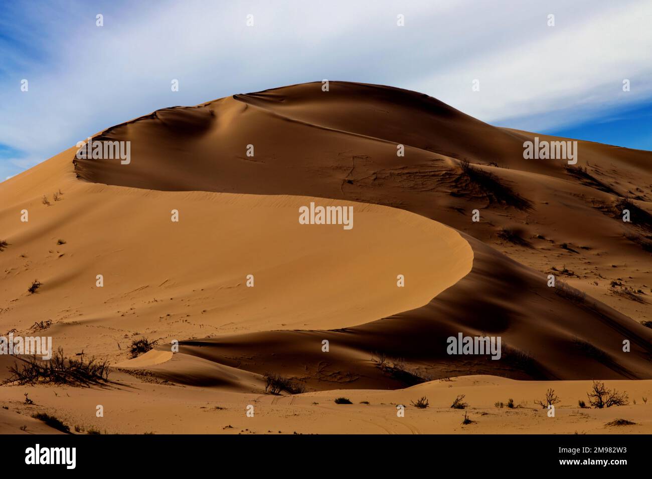 Dune de sable dans le paysage du désert, Arabie Saoudite Banque D'Images