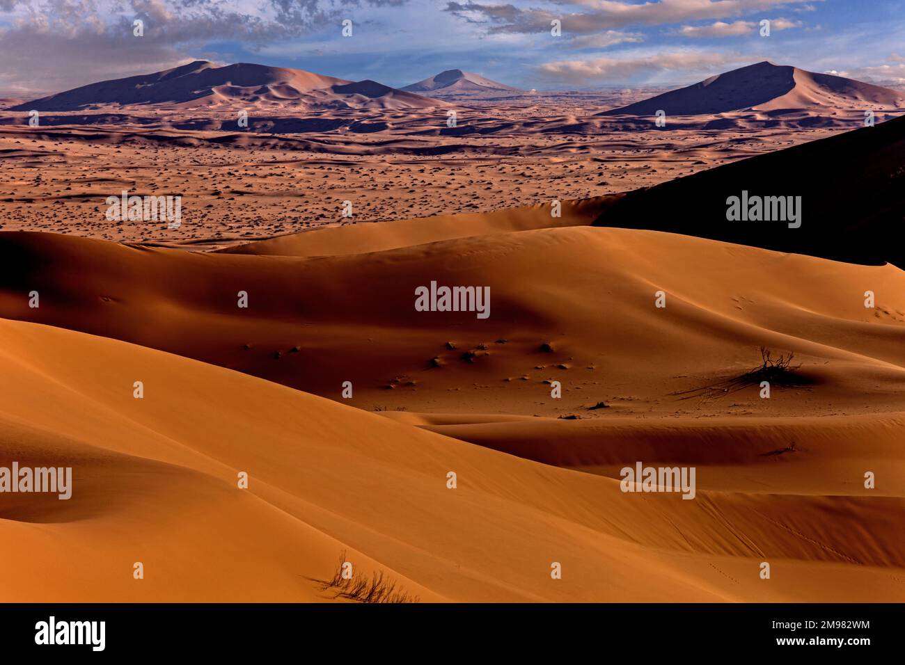 Dunes de sable dans le paysage désertique, Arabie Saoudite Banque D'Images