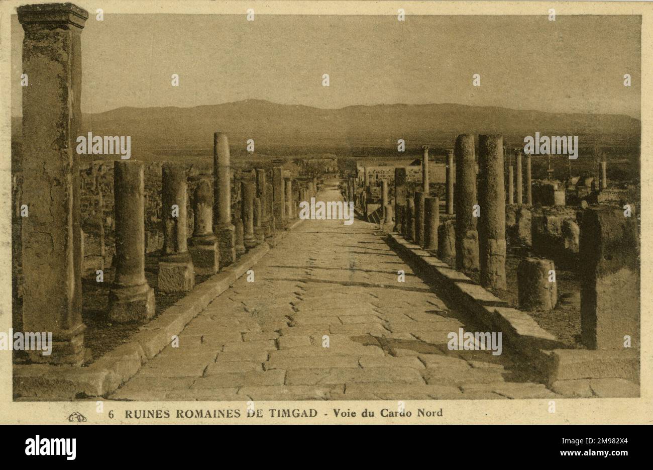 Chemin du Nord de Cardo dans les ruines romaines de Timgad Banque D'Images