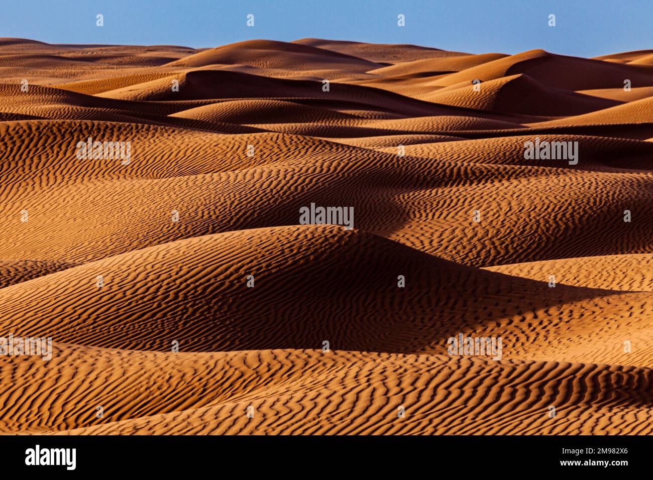 Paysage désertique avec dunes de sable, Arabie Saoudite Banque D'Images