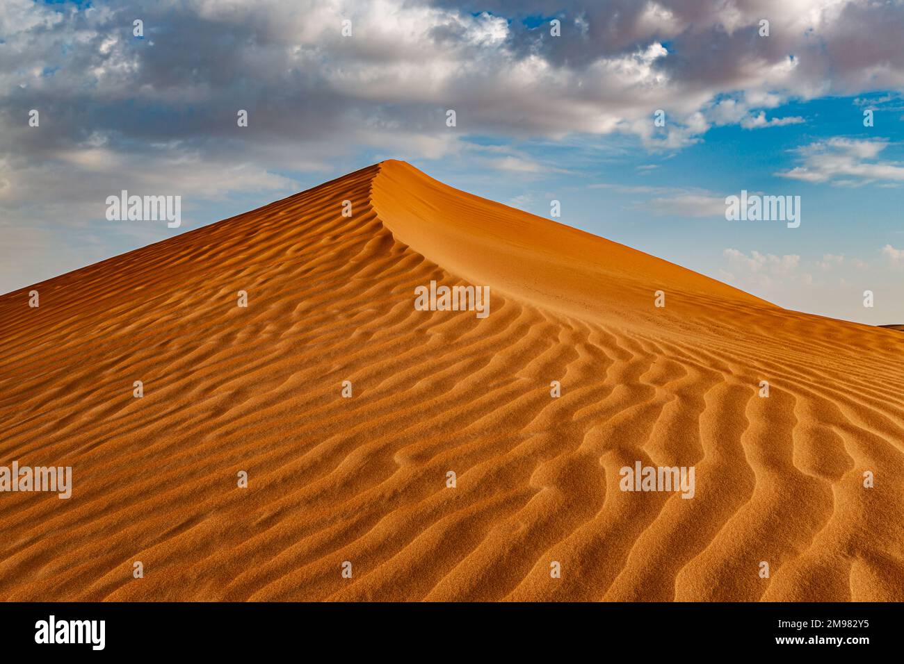 Dune de sable dans le paysage du désert, Arabie Saoudite Banque D'Images