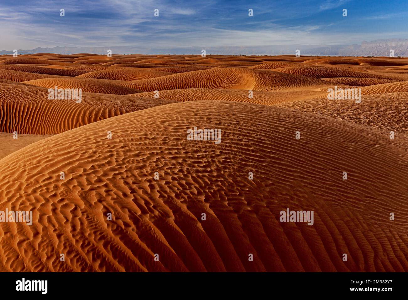 Paysage désertique avec dunes de sable ondulées, Arabie Saoudite Banque D'Images