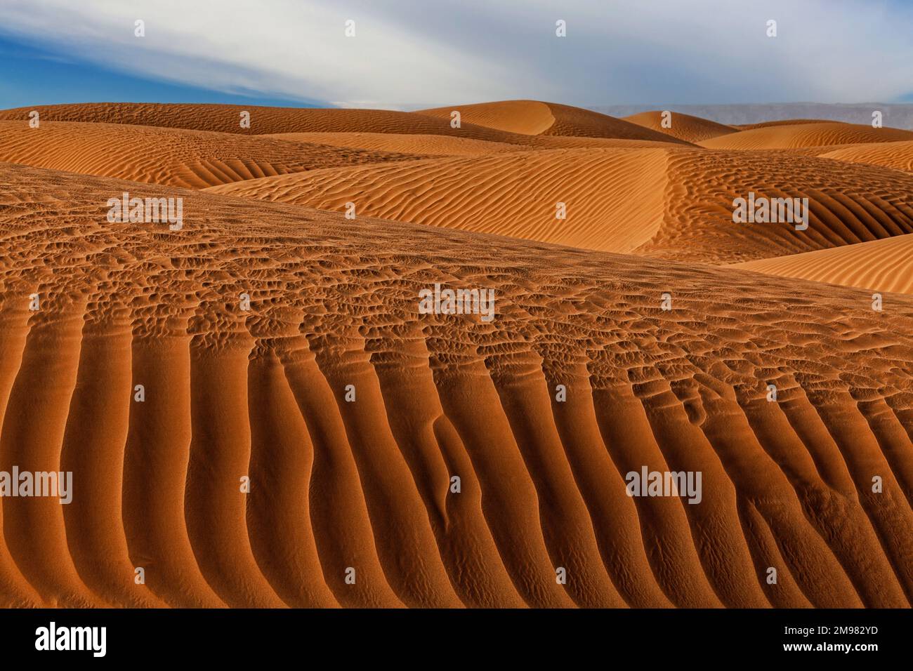 Gros plan de dunes de sable ondulées dans le paysage désertique, Arabie Saoudite Banque D'Images