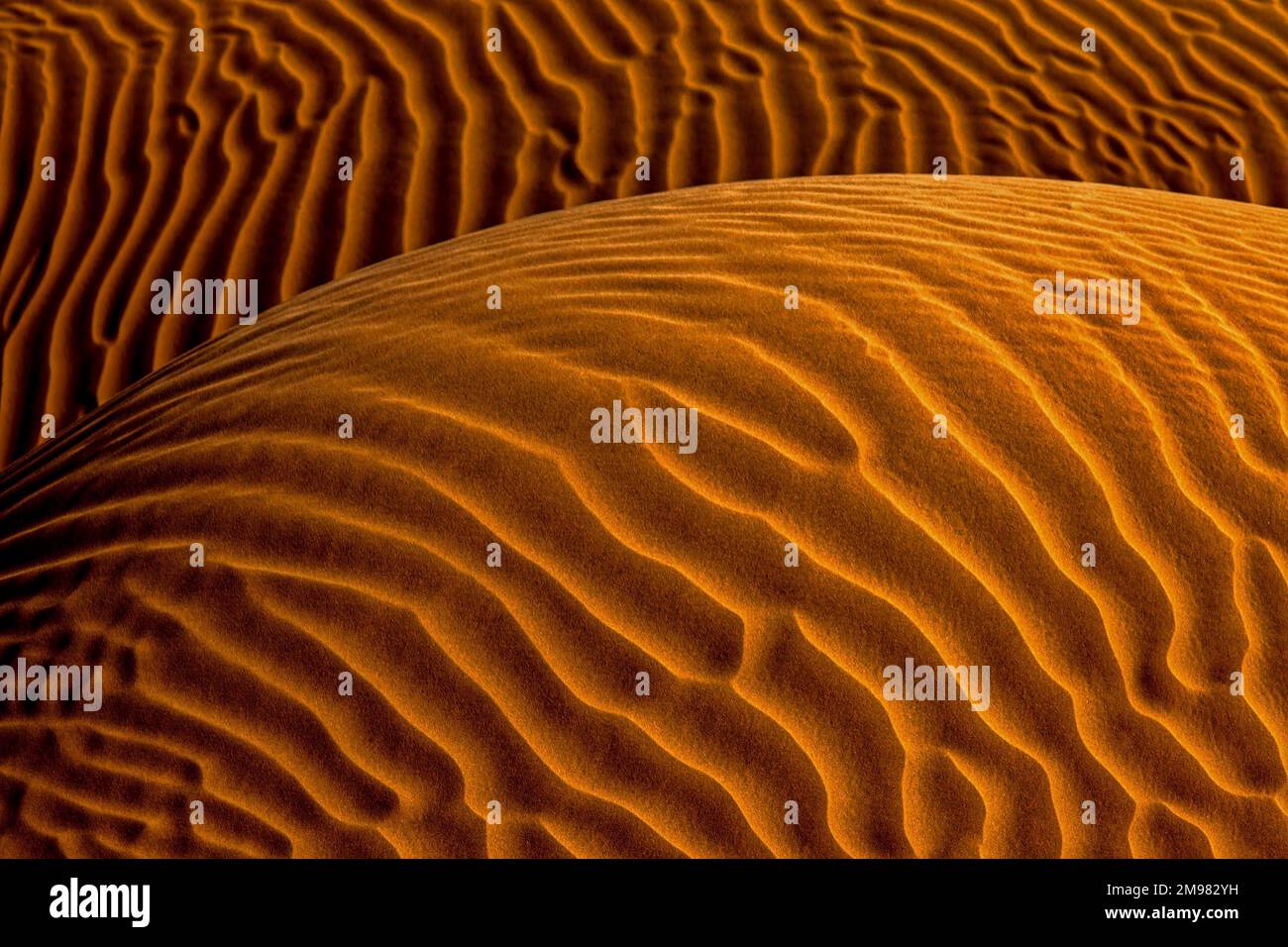 Plein cadre en gros plan de dunes de sable ondulées dans le paysage désertique, Arabie Saoudite Banque D'Images
