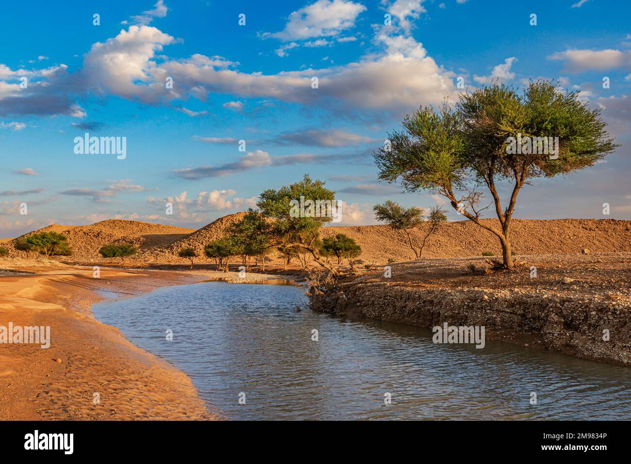 Paysage désertique et lac après la pluie, Arabie Saoudite Banque D'Images