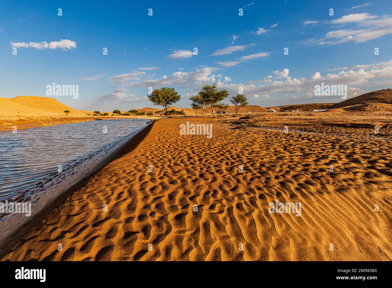 Paysage désertique et lac après pluie avec tentes à distance, Arabie Saoudite Banque D'Images