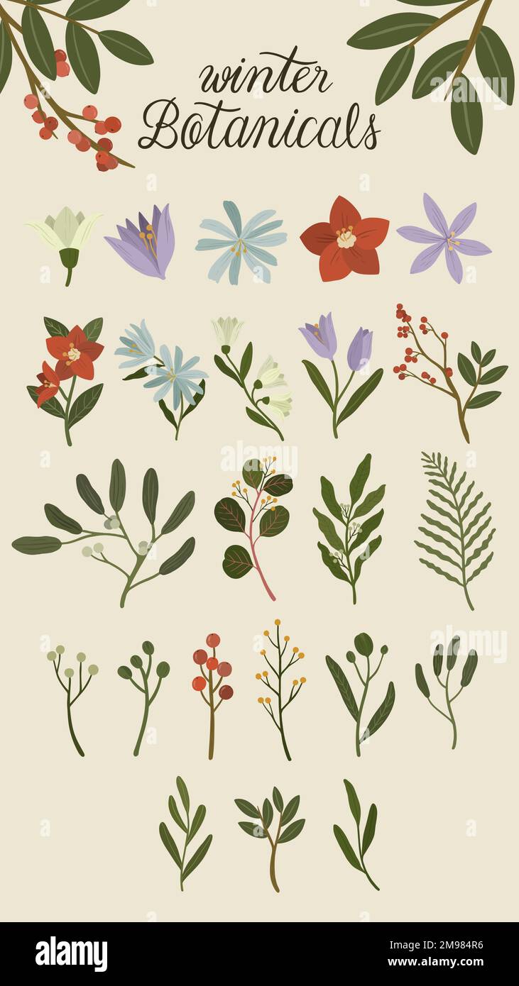 Illustration des plantes hivernales sur fond beige du téléphone Illustration de Vecteur