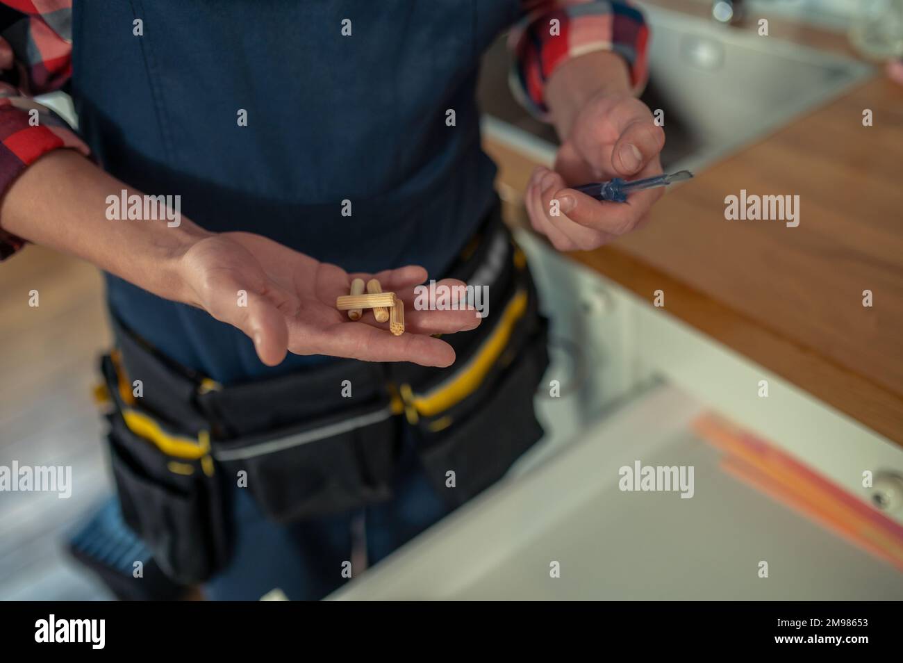 Photo rognée d'un menuisier tenant un tournevis et des chevilles cannelées en bois dans ses mains Banque D'Images