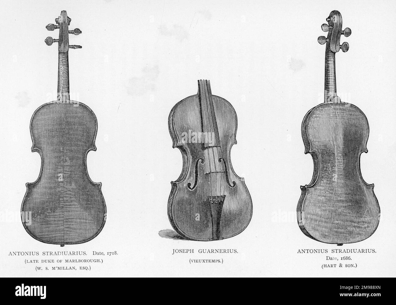 Trois violons par Antonius Stradivarius et Joseph Guarnerius -- 1718 (duc de Marlborough, W S McMillan), Vieuxtemps, 1686 (Hart & son). Banque D'Images