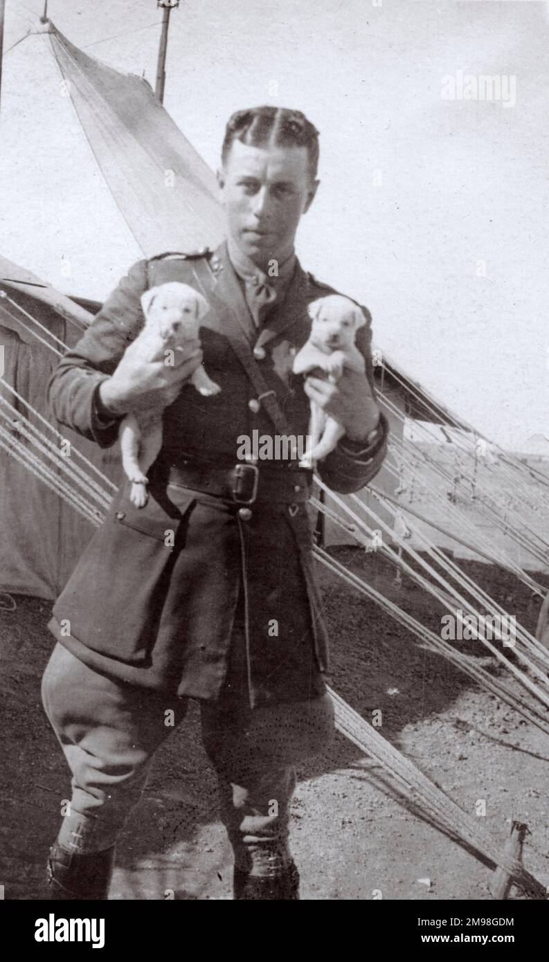 Soldat dans un camp d'entraînement tenant deux chiots. Banque D'Images