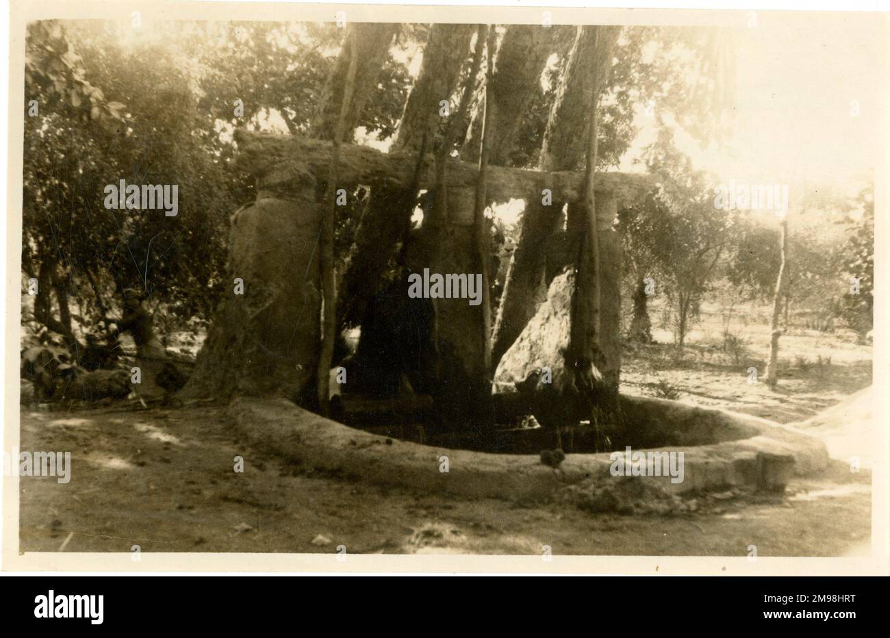Puits d'eau pour l'irrigation, Shadoof (Shadof), Égypte, Afrique du Nord. Banque D'Images