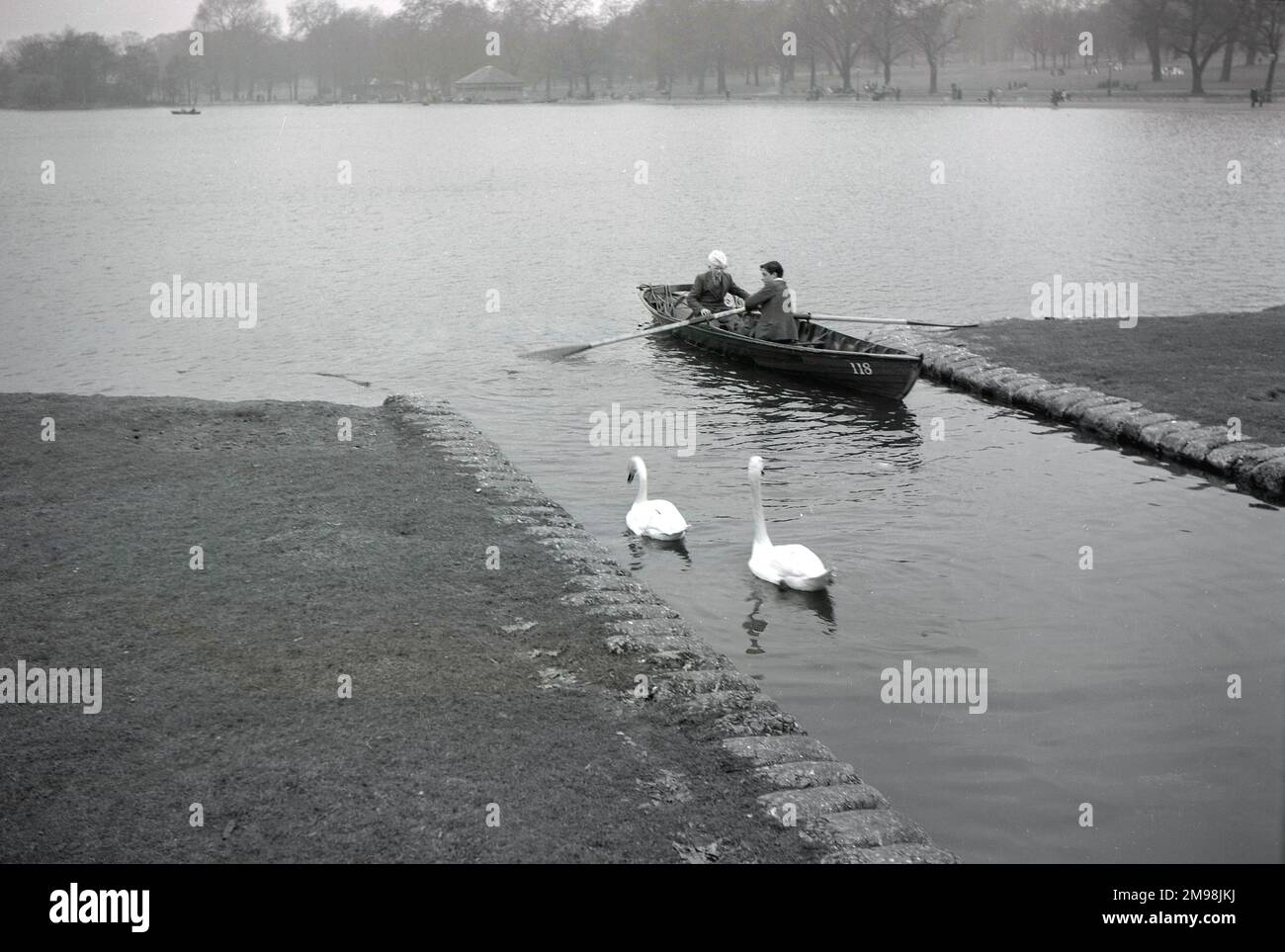 1950s, historique, deux écoliers dans un bateau à rames loué dans un chenal étroit sur le bord d'un grand lac de navigation, deux cygnes pour compagnie, Angleterre, Royaume-Uni. Banque D'Images