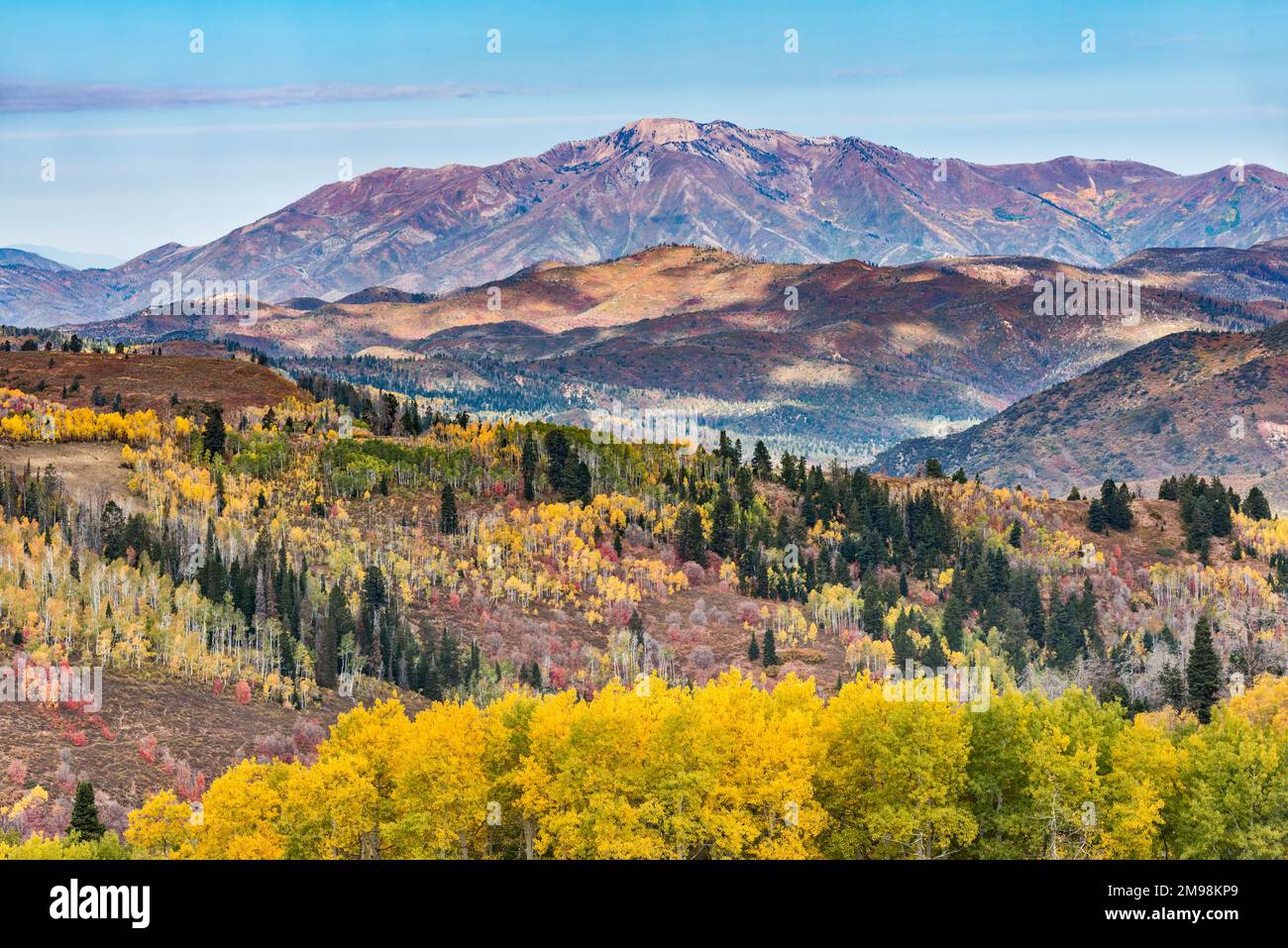Chaîne de montagnes au plateau de Wasatch, vue depuis Skyline Drive Scenic Drive, saison d'automne, forêt nationale de Manti la Sal, Utah, États-Unis Banque D'Images