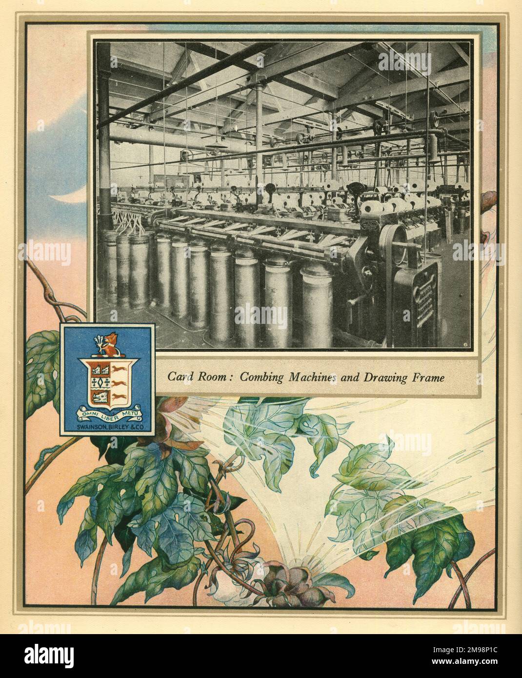 Amalgamated Cotton Mills Trust Ltd, 1920 -- salle des cartes, machines à carder et cadre de dessin. Banque D'Images