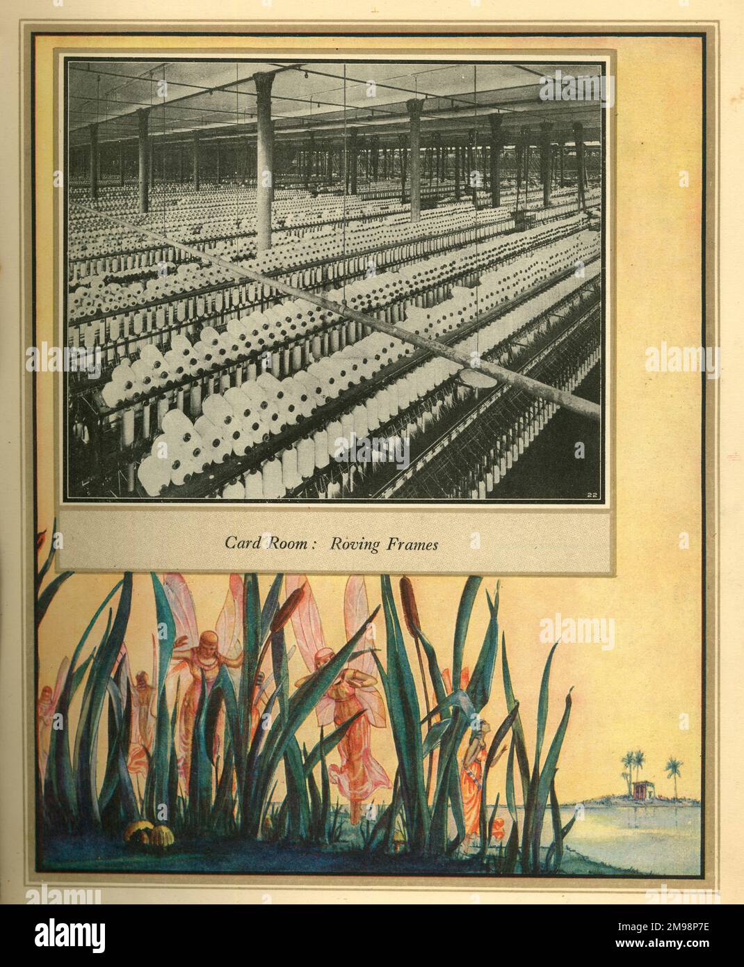 Amalgamated Cotton Mills Trust Ltd, 1920 -- Card Room, Roving Frames. Banque D'Images