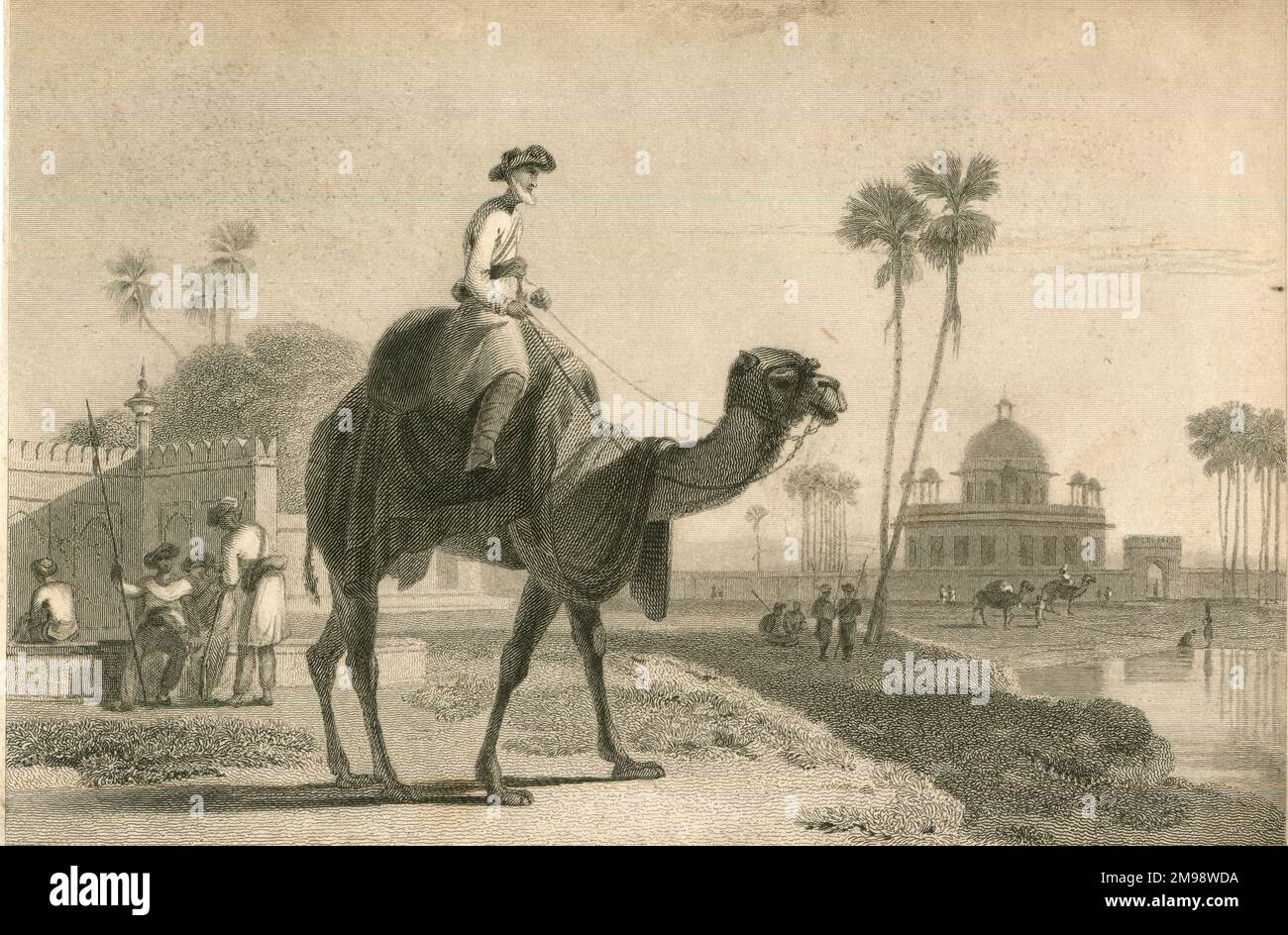 Le Hirkarrah Camel de William Daniell. Banque D'Images