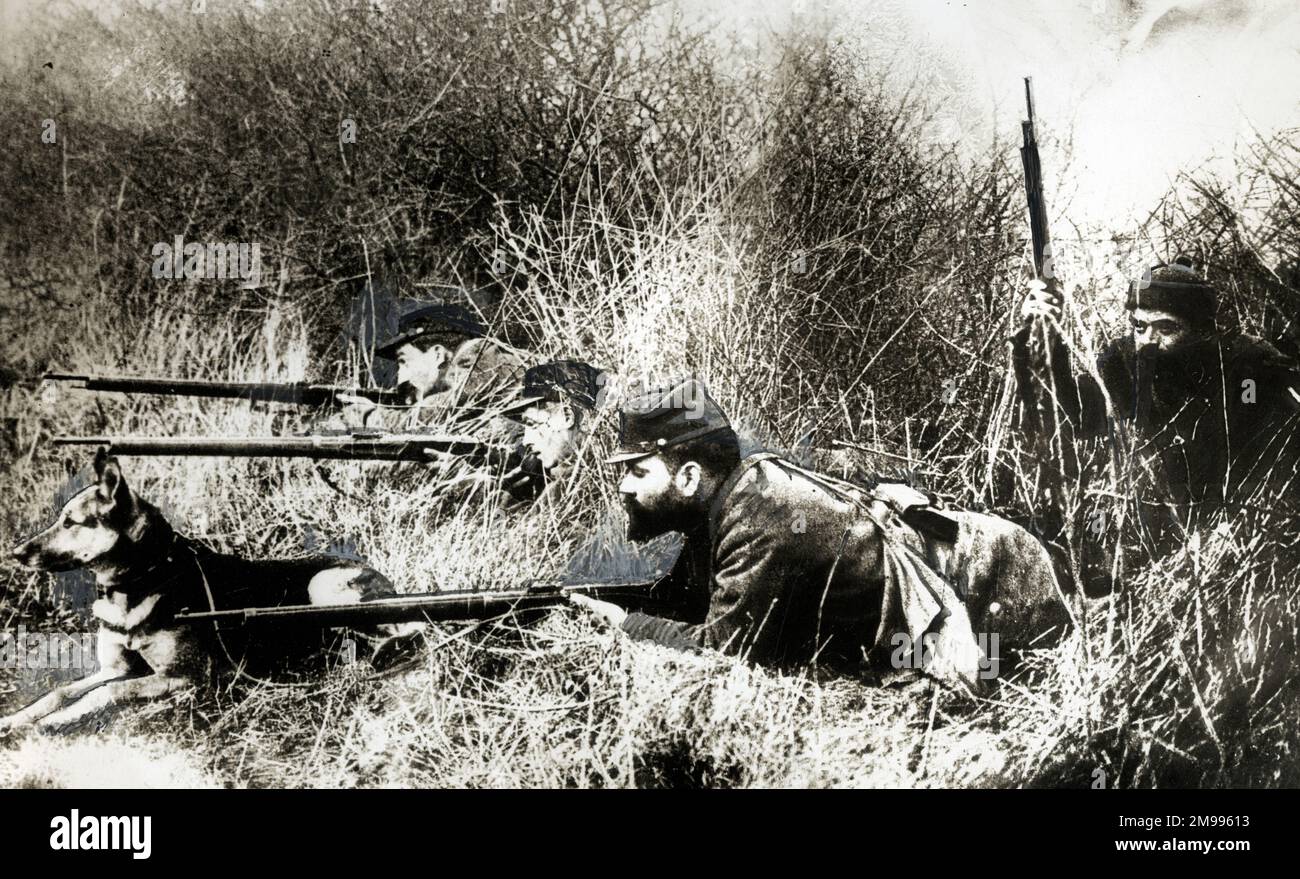 Soldats français avec chien alsacien, 1915 juillet, première Guerre mondiale. Banque D'Images