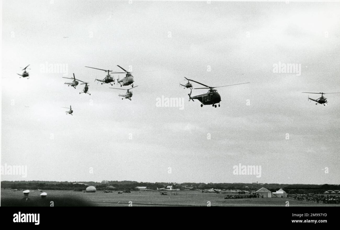 Une formation mixte d'hélicoptères Westland. Banque D'Images