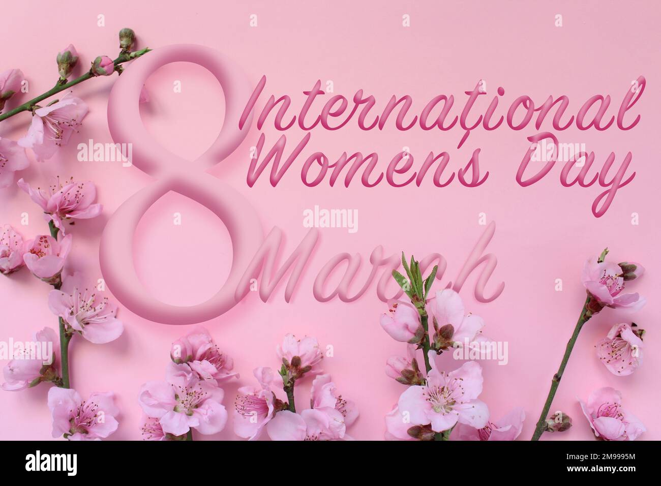 Idée de la journée internationale de la femme. Branche et texte de l'arbre de fleurs 8 mars isolé sur fond rose. Bonne journée pour les femmes. Banque D'Images