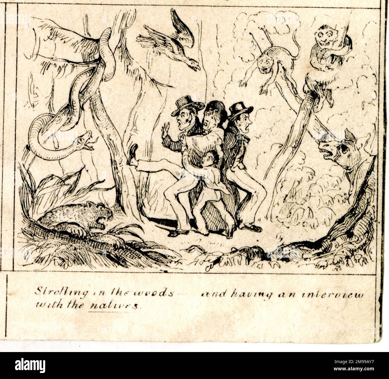 Émigration - flâner dans les Bois. Banque D'Images