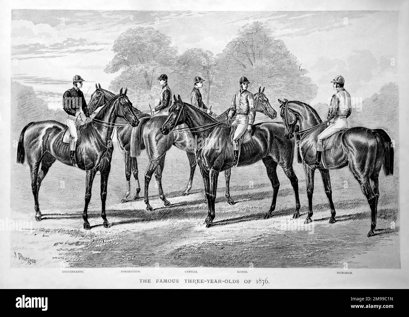 Cinq célèbres chevaux de course de trois ans de 1876 - Enguerrande, Forerunner, Camelia, Kisber et Petrarch. Banque D'Images