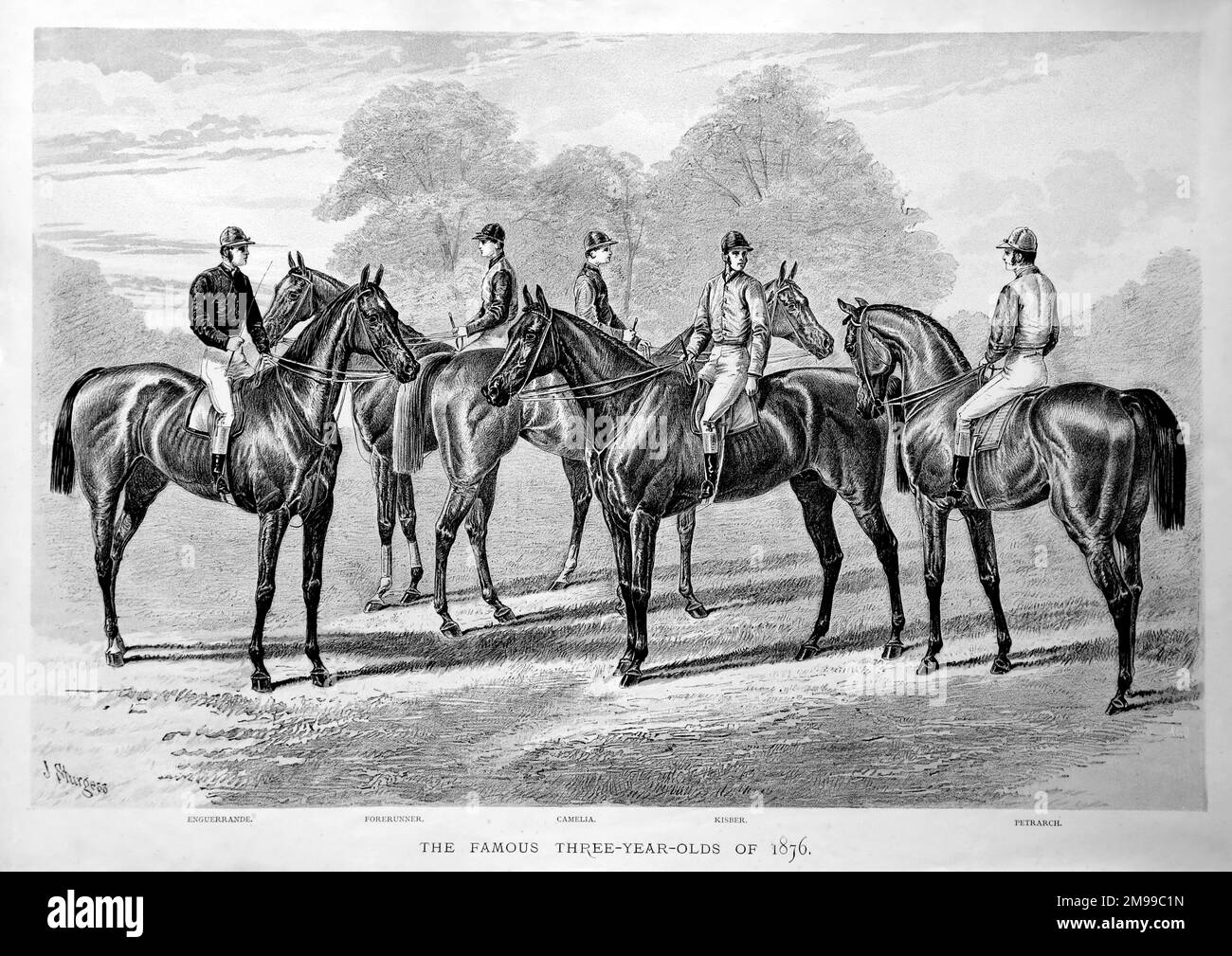 Cinq célèbres chevaux de course de trois ans de 1876 - Enguerrande, Forerunner, Camelia, Kisber et Petrarch. Banque D'Images