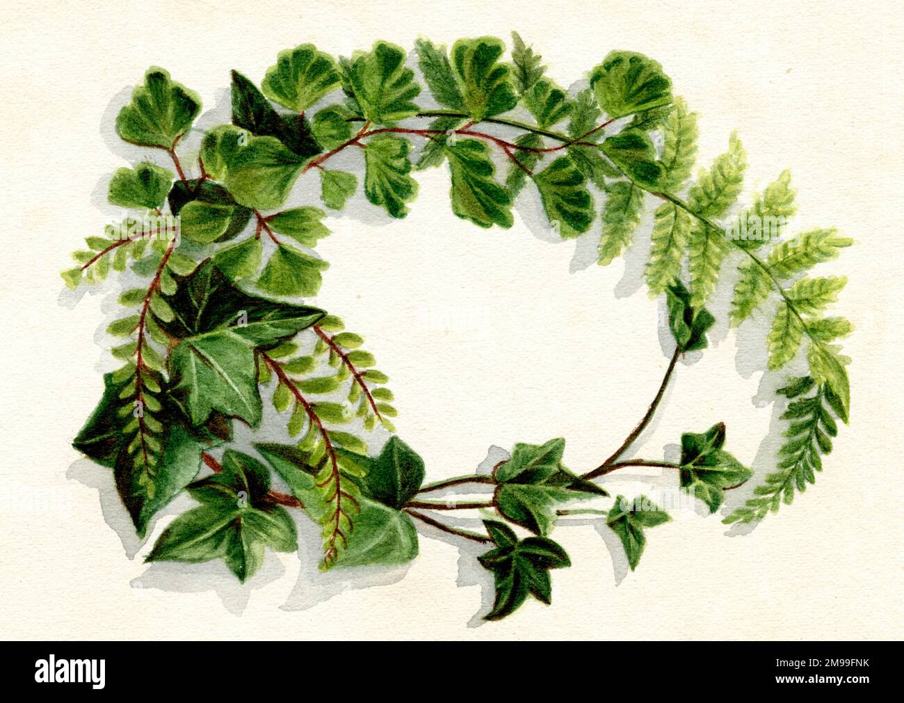 Œuvres d'art de Florence Auerbach, spray de feuilles vertes. Banque D'Images