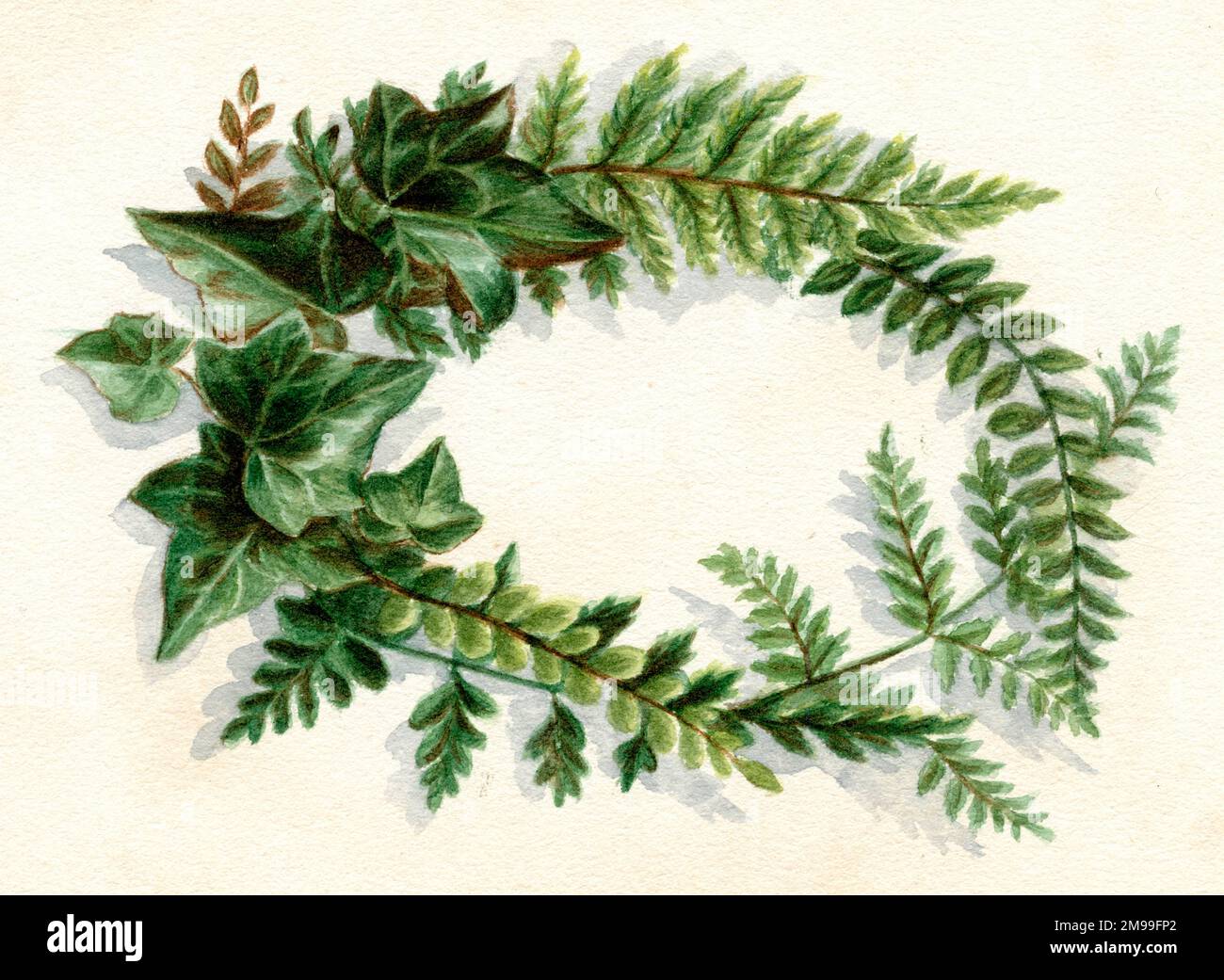 Œuvres d'art de Florence Auerbach, spray de feuilles vertes. Banque D'Images