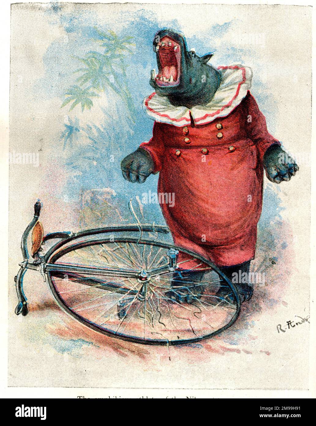 Animaux de zoo à jour sur les cycles - Hippo on a Penny Farthing. Banque D'Images