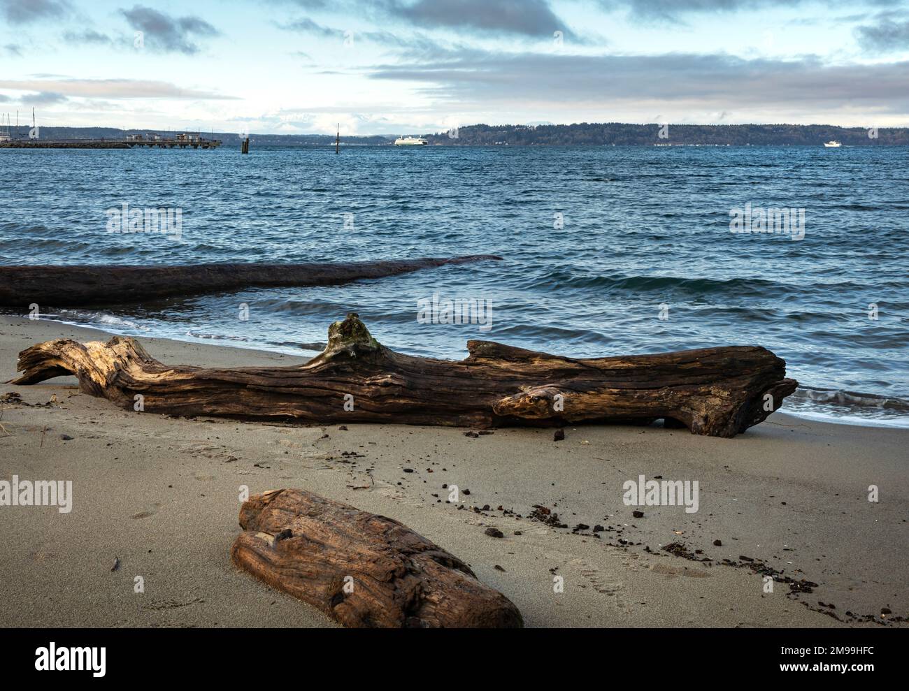 WA22910-00...WASHINGTON - Drift logs sur la plage au Port d'Edmonds situé sur la mer de Salish/Puget Sound. Banque D'Images