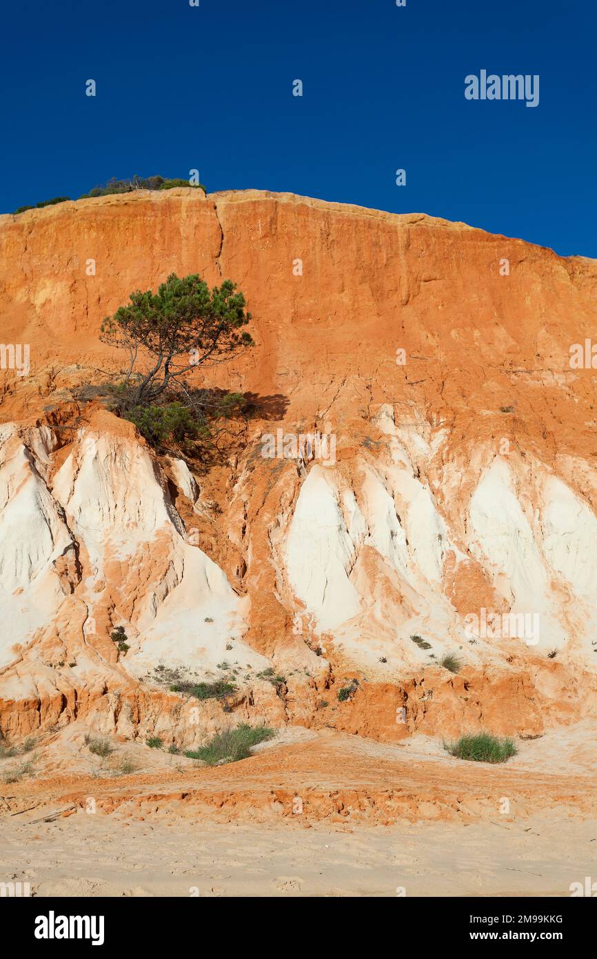 Badlands dans la plage de Falesia, Albufeira, Algarve, Portugal Banque D'Images