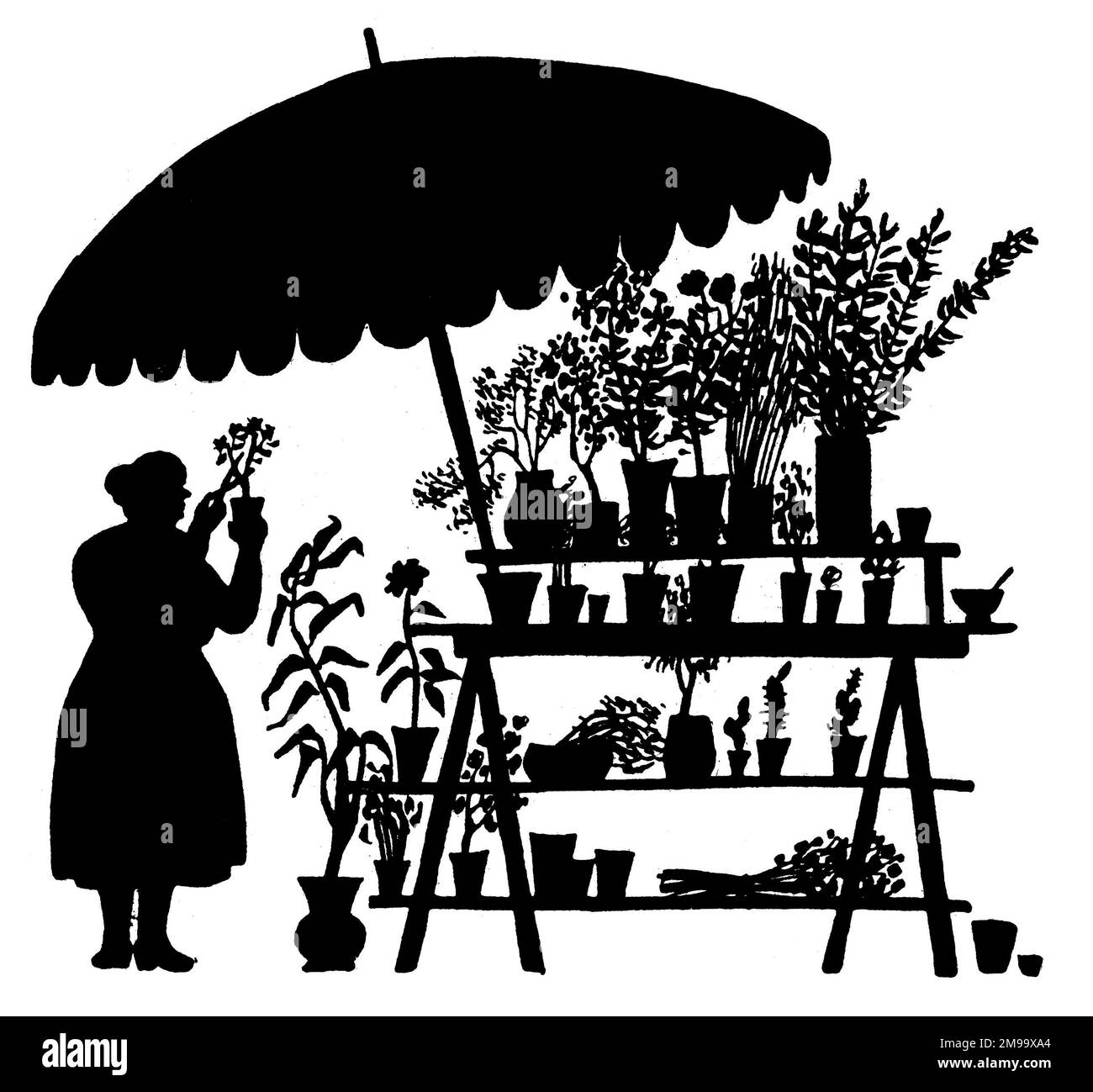 Silhouette - Flower Seller Stall, Street Vendor. Banque D'Images