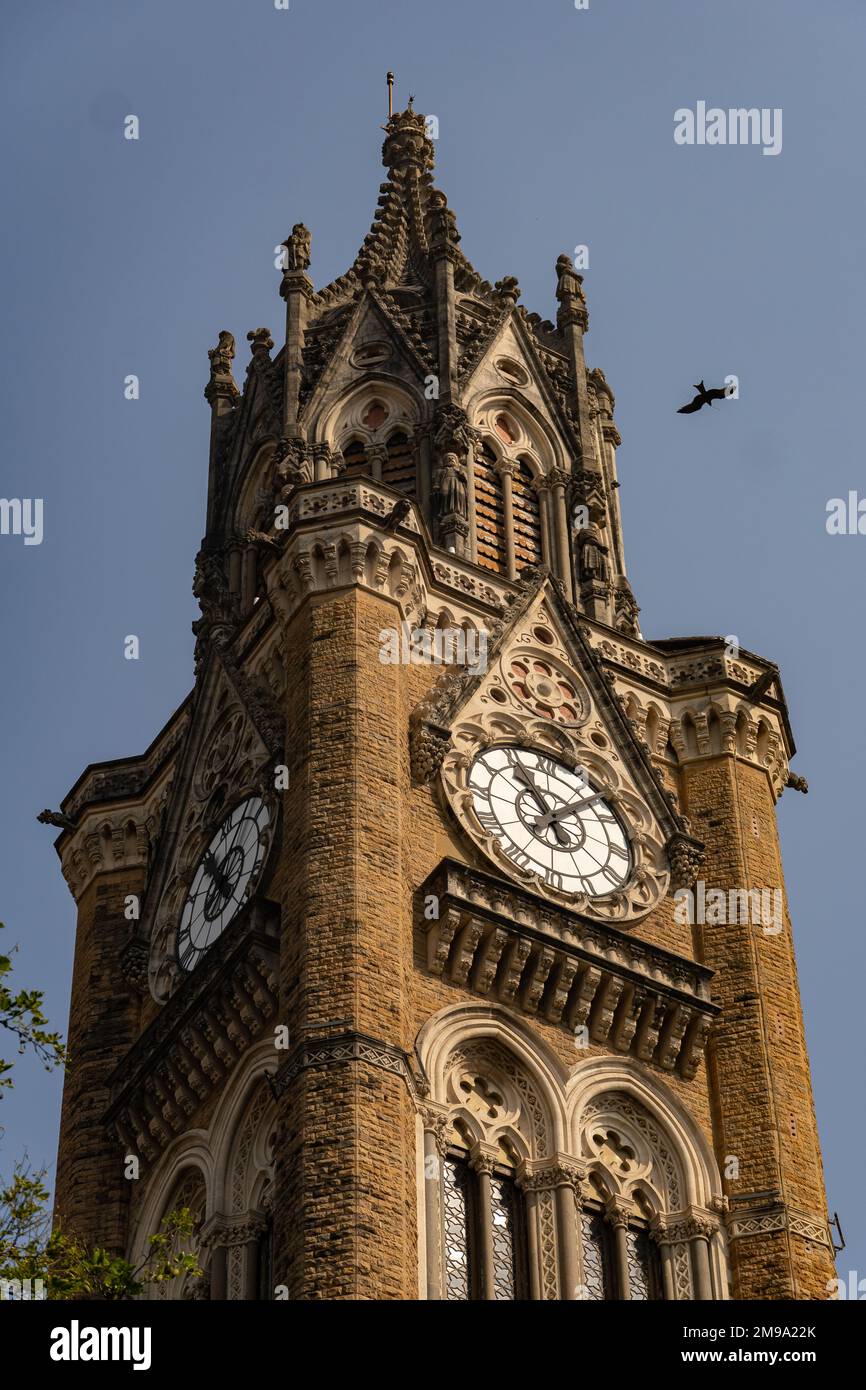 Mumbai, Maharashtra, Inde 31 décembre 2022: La tour de l'horloge du Rajabai dans le campus de l'Université de Mumbai, qui était liste du patrimoine mondial assis Banque D'Images