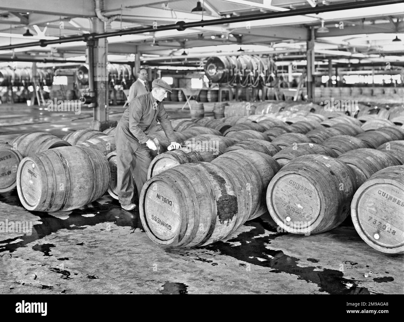 The Guinness Brewery, St James's Gate, Dublin, République d'Irlande, vers 1946. Banque D'Images